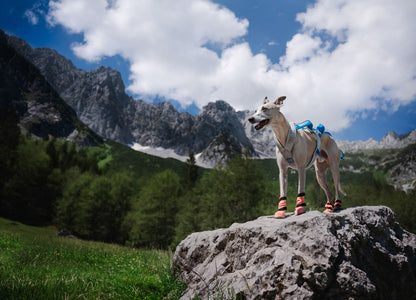 Protector light socks high (1)