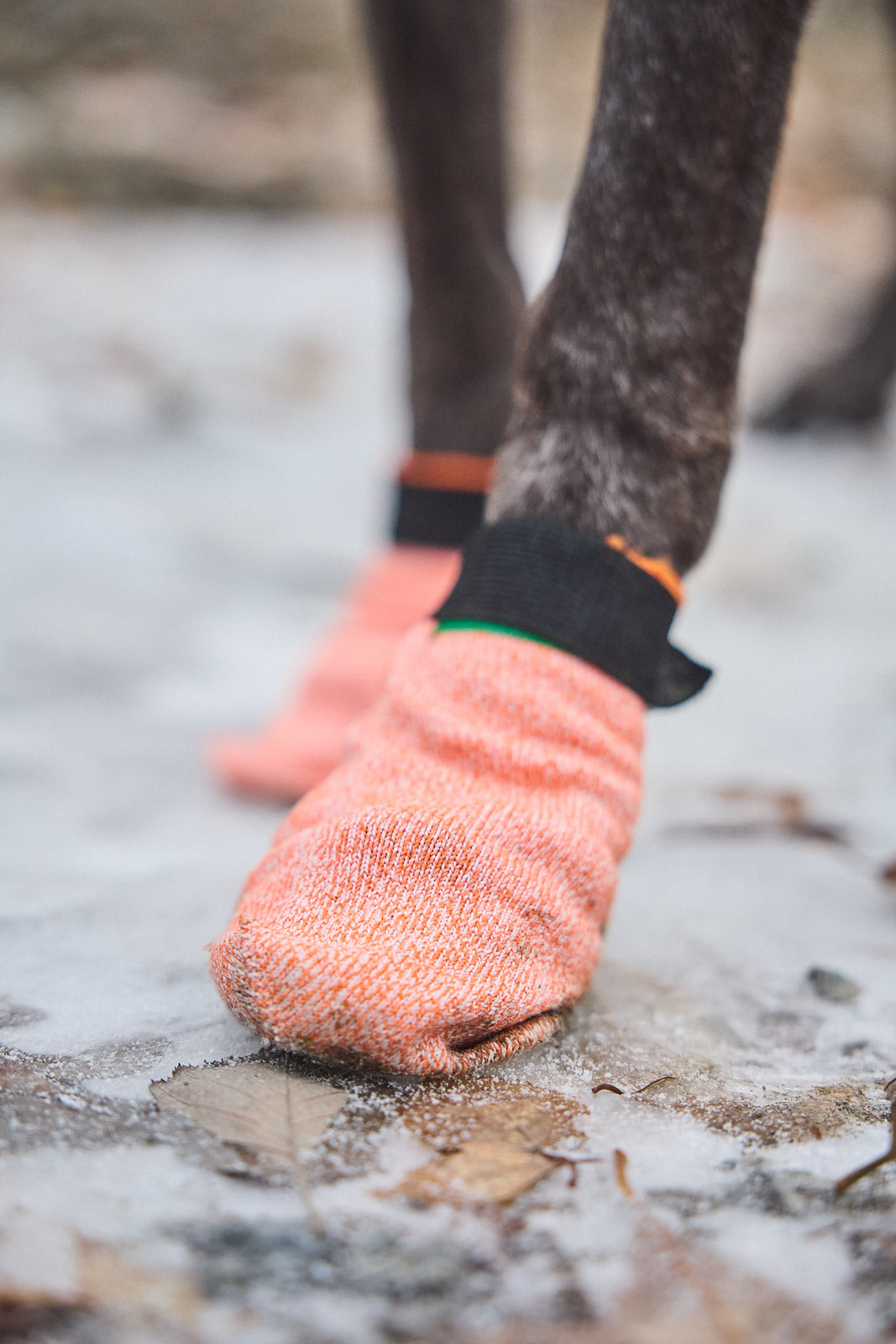 Protector light socks