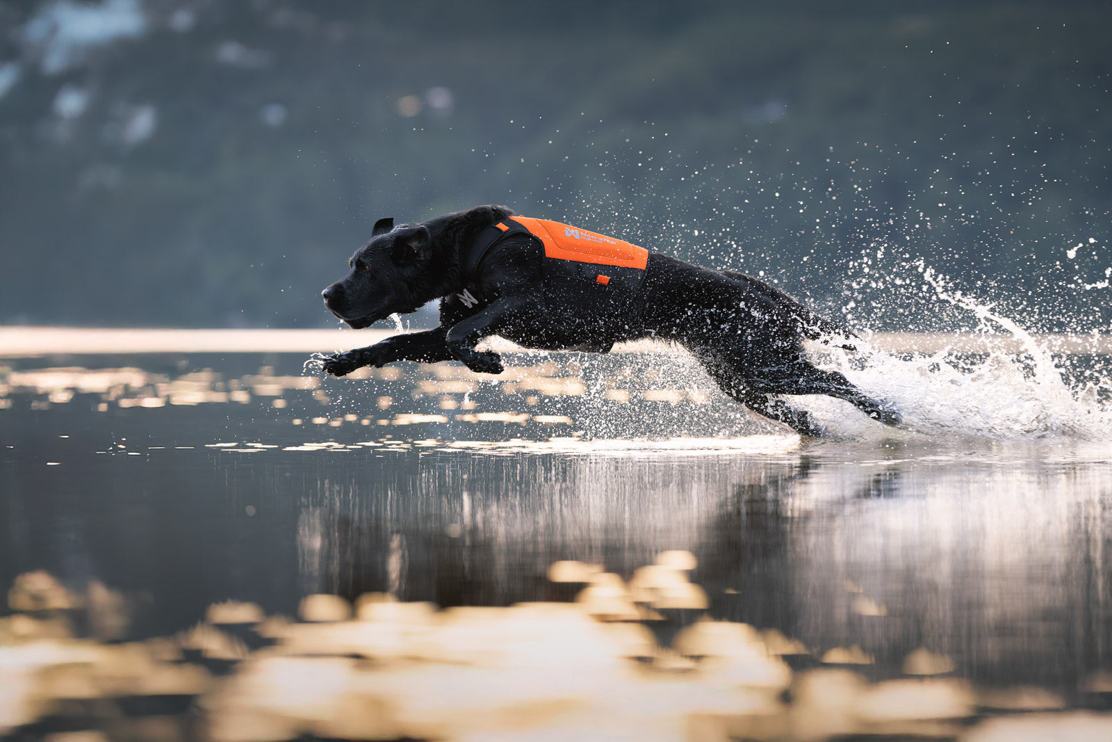 Protector neoprene vest