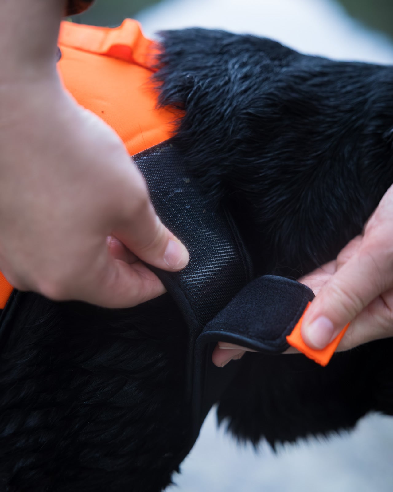 Protector neoprene vest