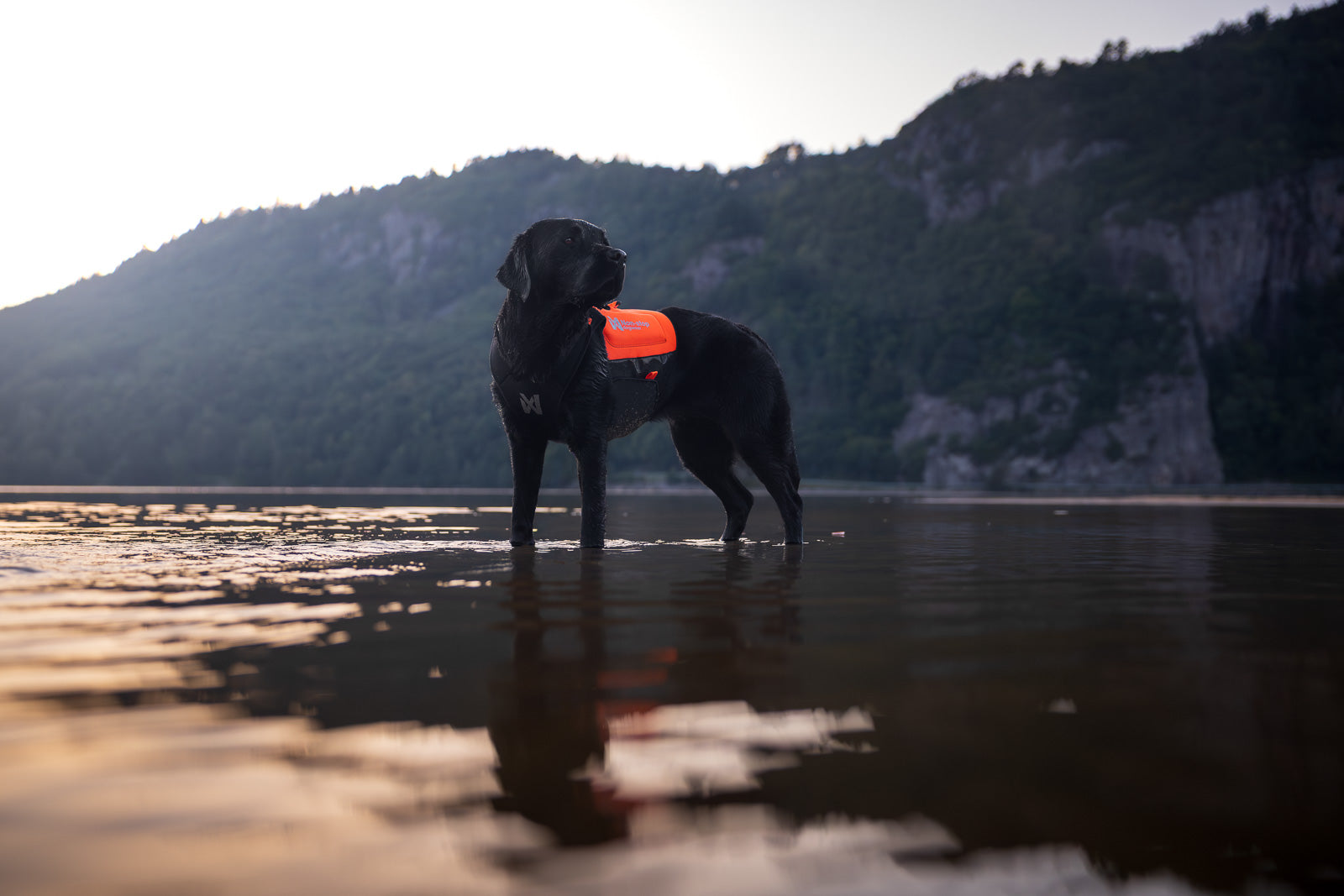Protector neoprene vest
