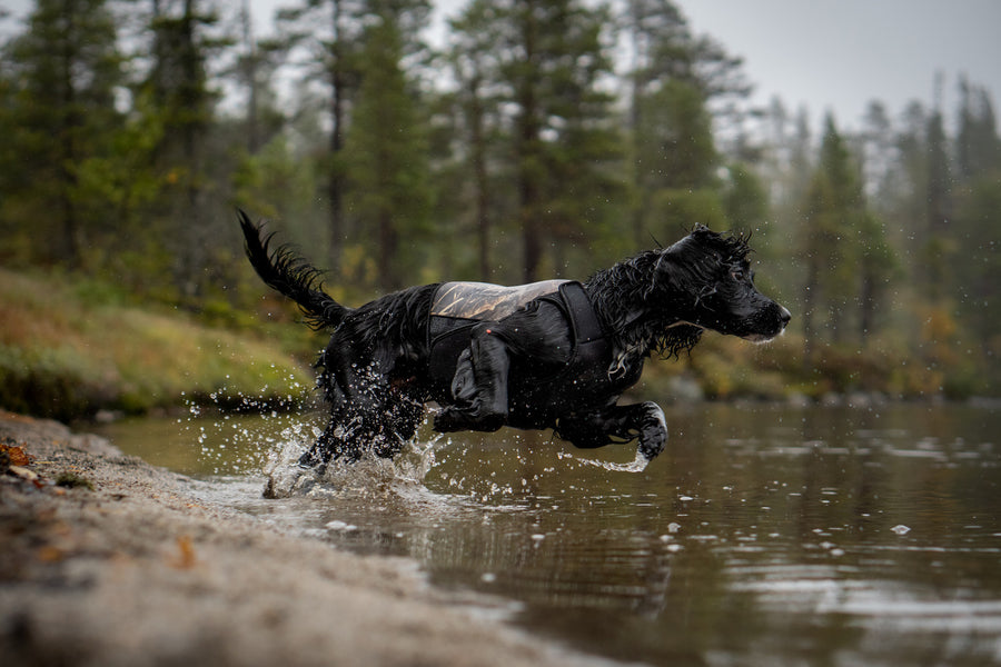 Protector neoprene vest light (6)