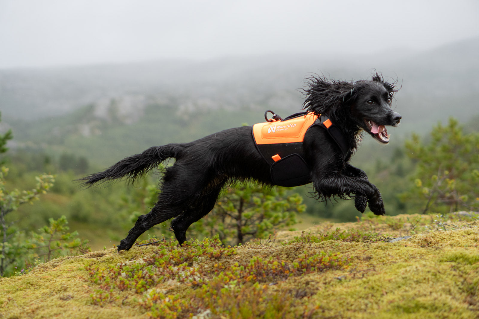Protector neoprene vest (1)