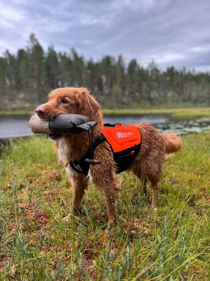 Protector neoprene vest (3)