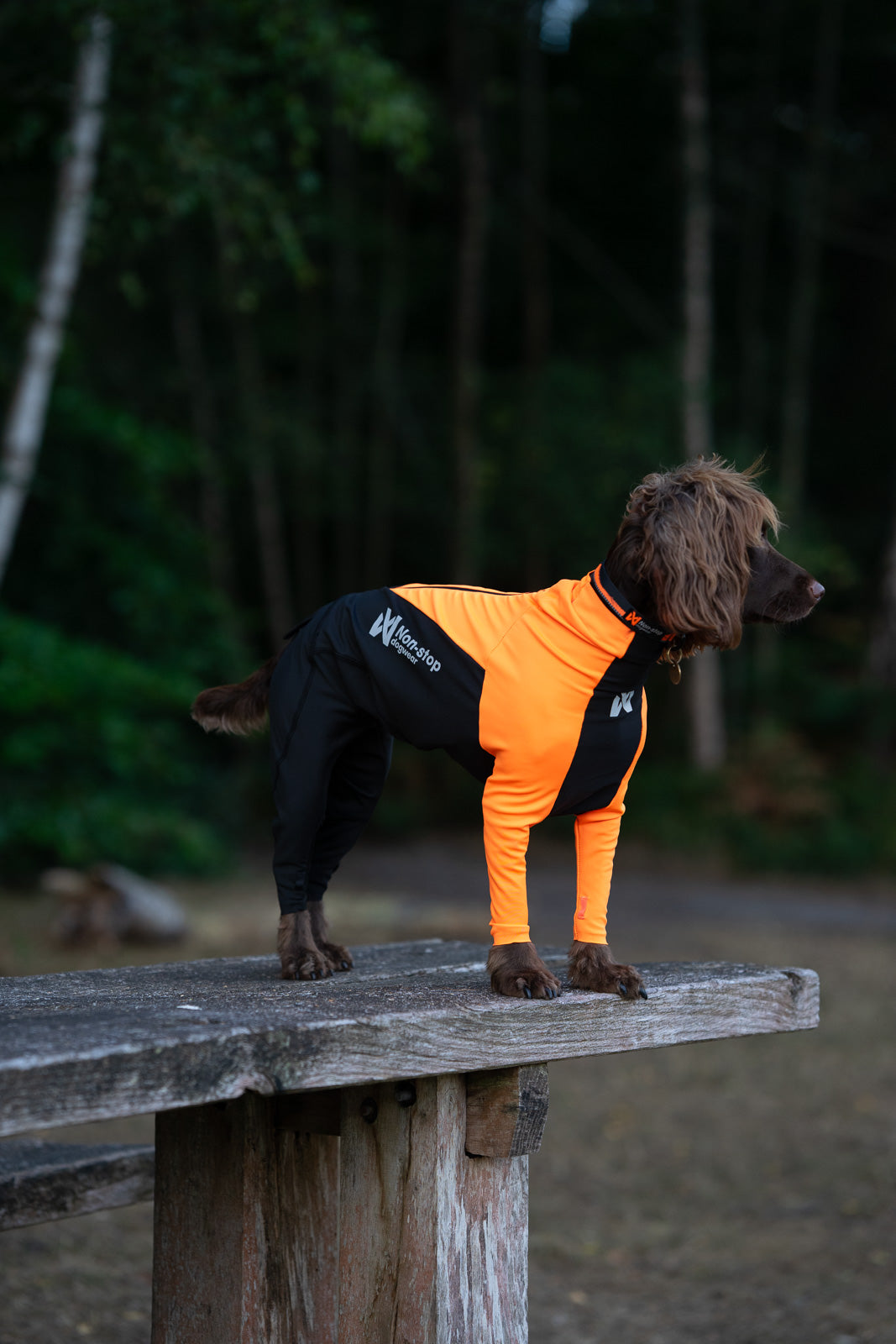 Full-body dog suit | Protector suit female – Non-stop dogwear