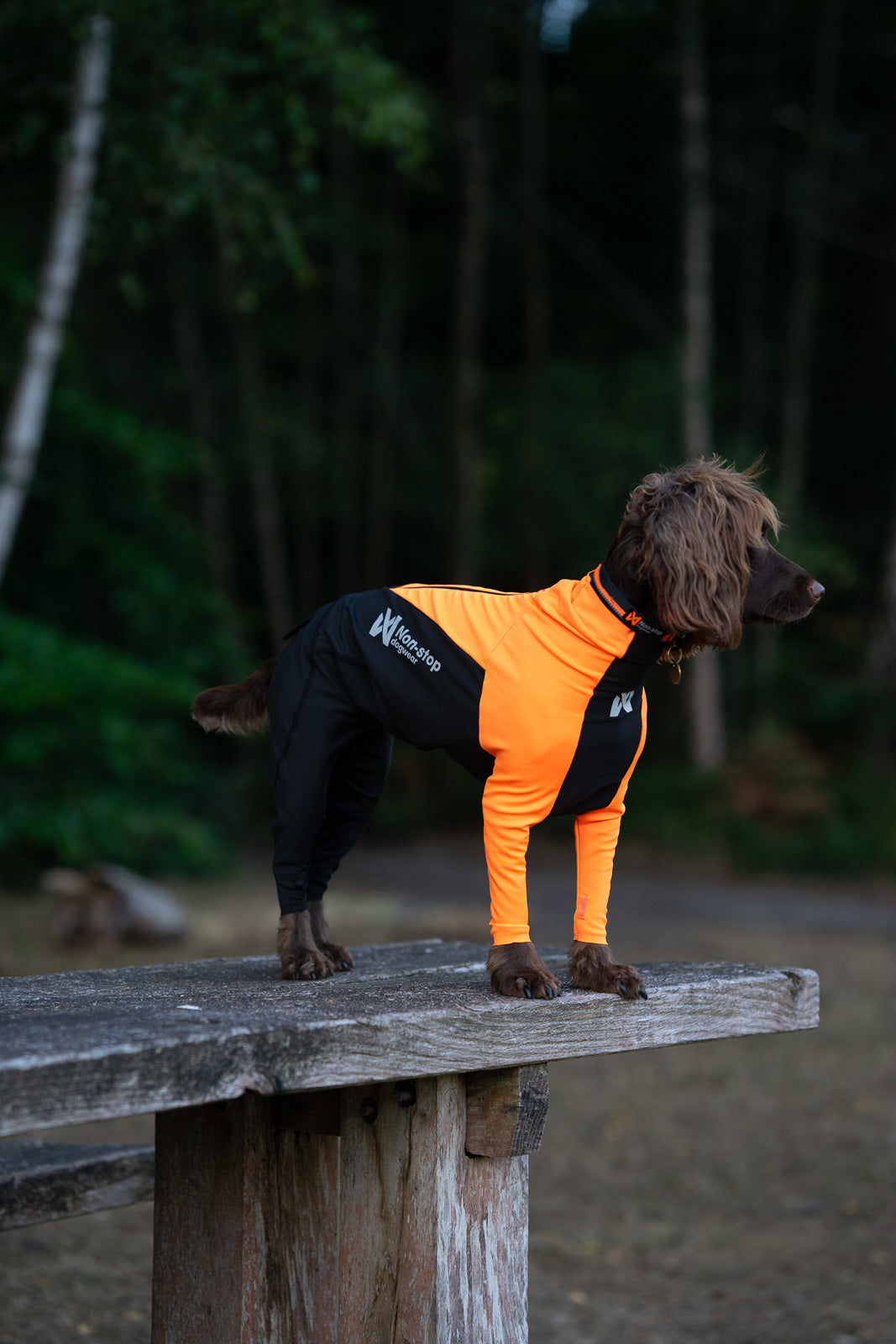 Full-body dog suit | Protector suit male – Non-stop dogwear