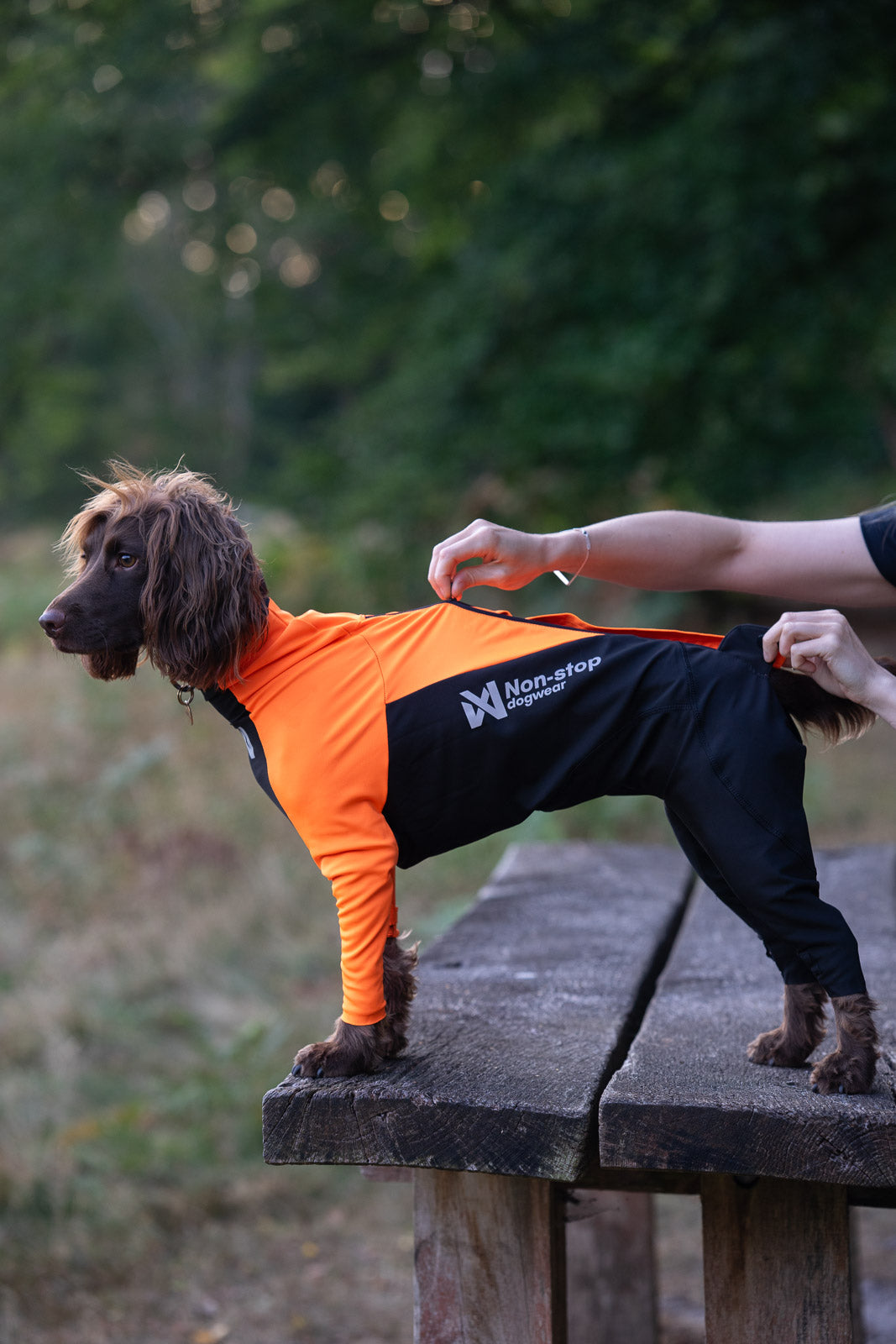 Full-body dog suit | Protector suit female – Non-stop dogwear