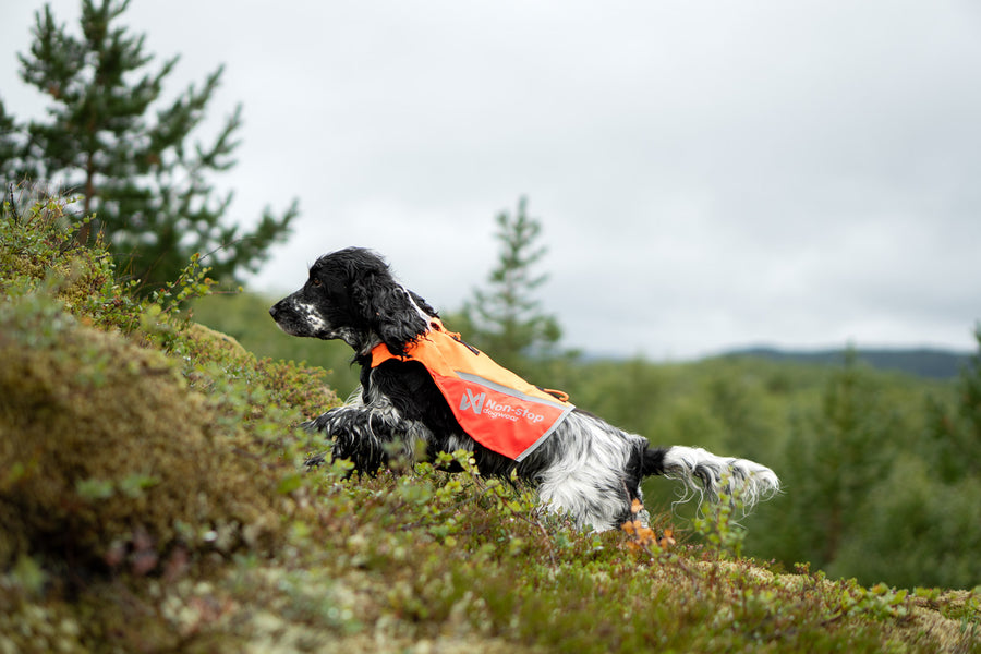 Protector vest 2.0 (1)