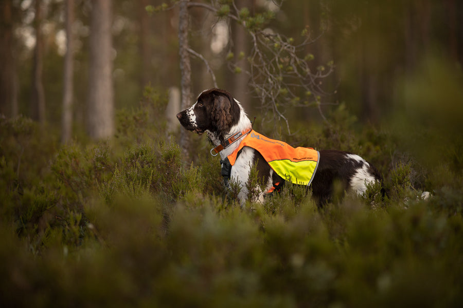 Protector vest (4)
