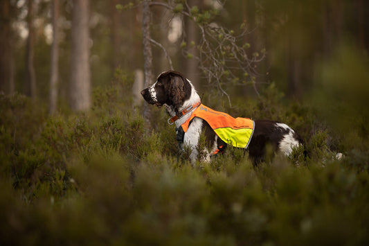 Protector vest (1)