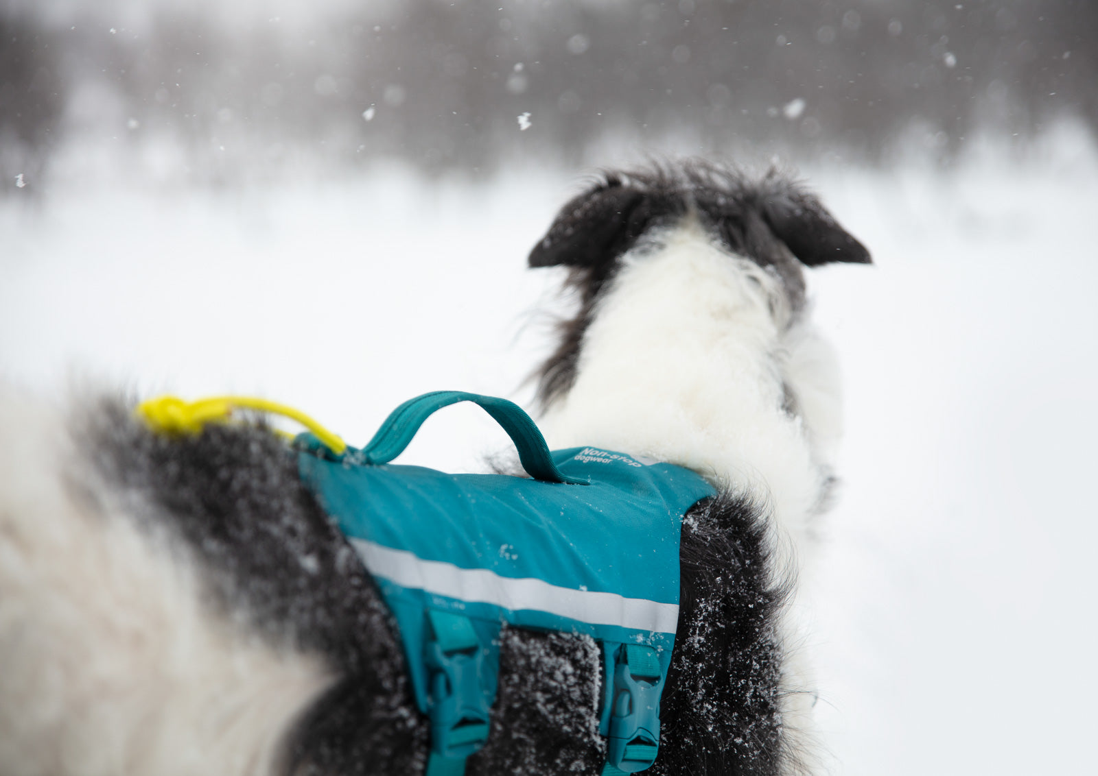 Ramble harness long