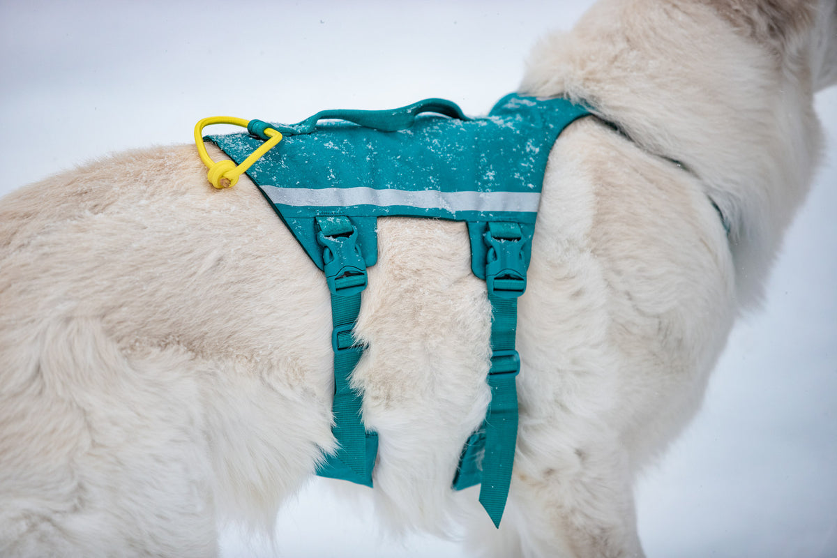 Reflective Dog Harness For Large Breeds – Adjustable Chest Strap For Running, Biking, Hiking