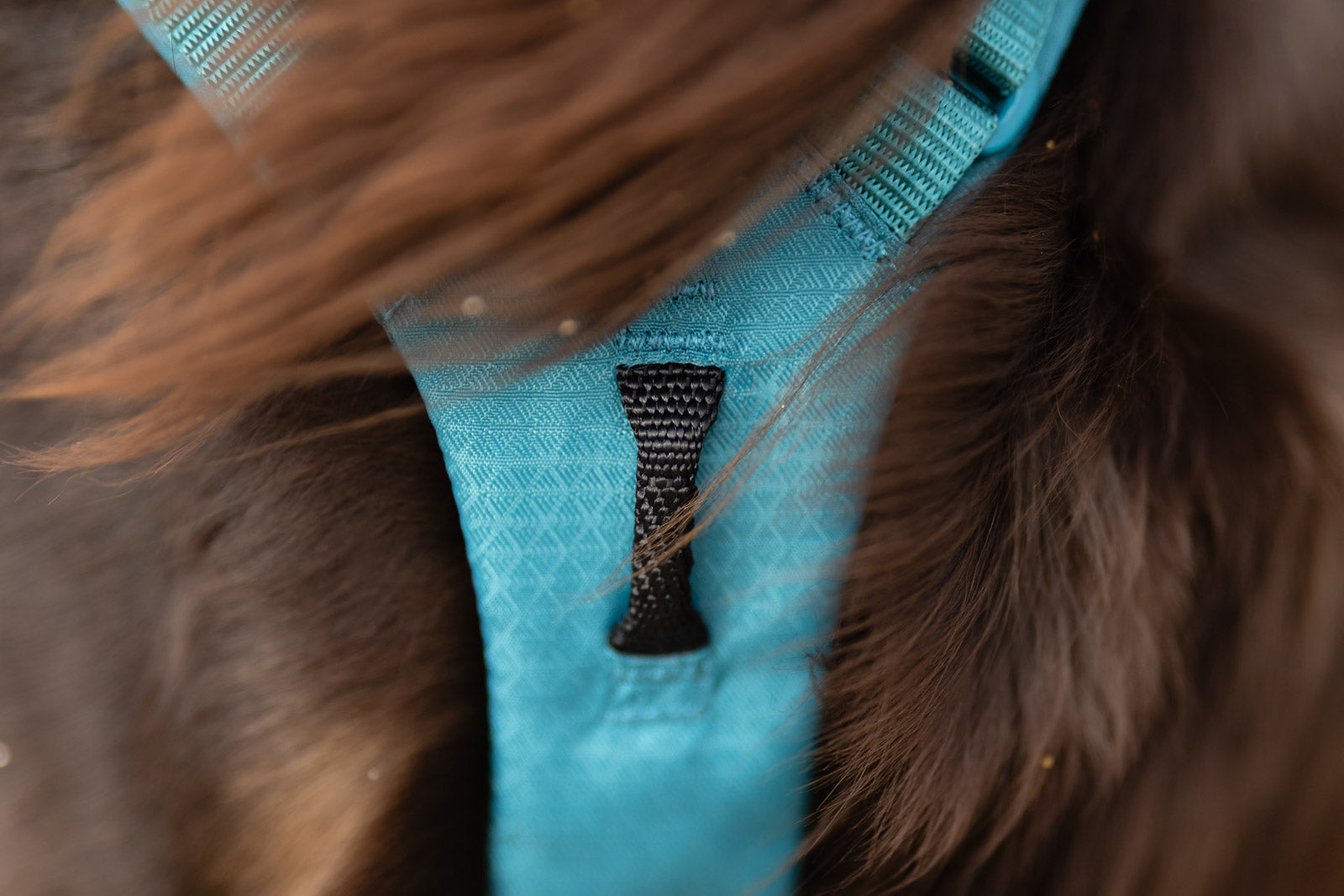 Ramble harness long