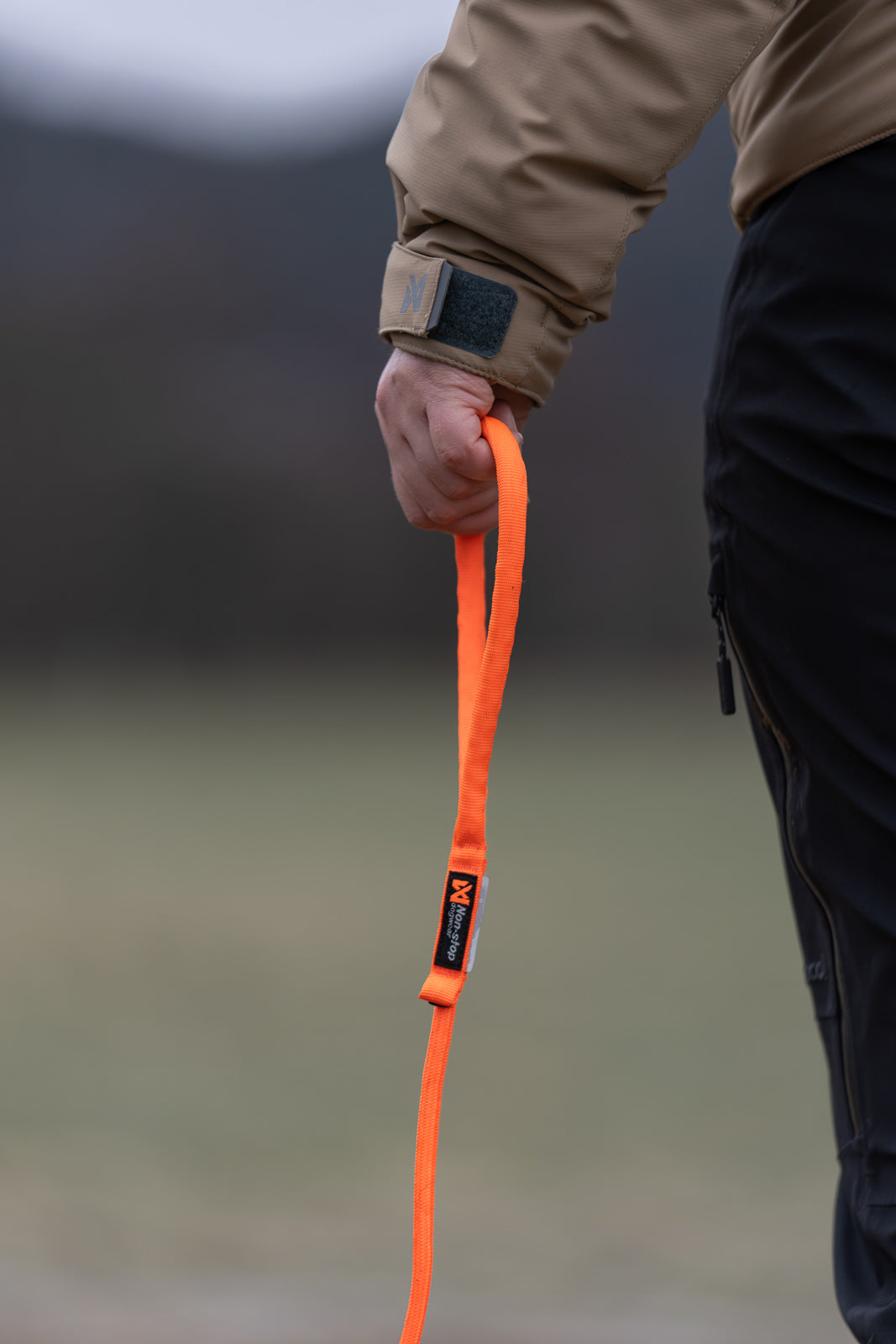 Retriever leash