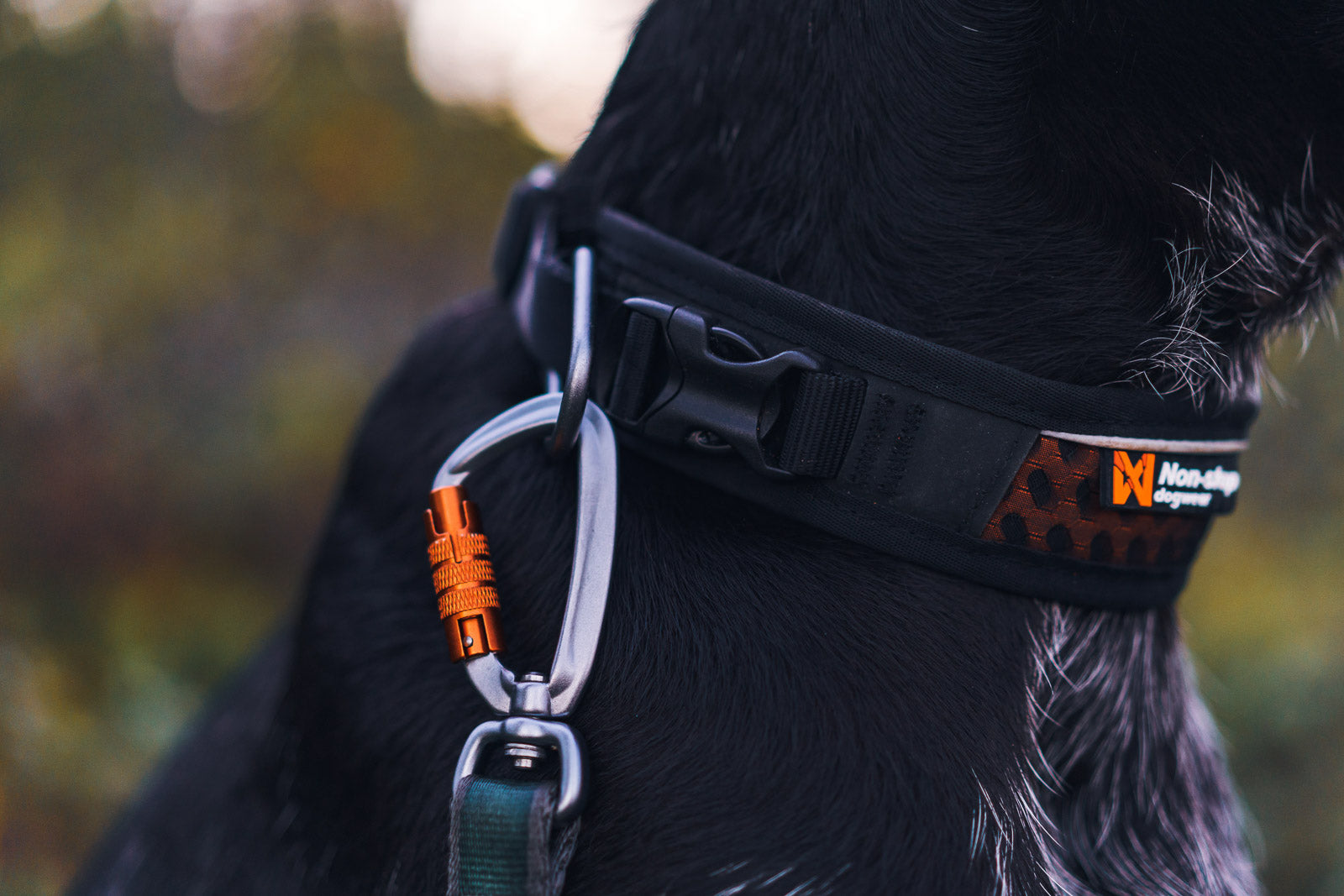Rock adjustable collar