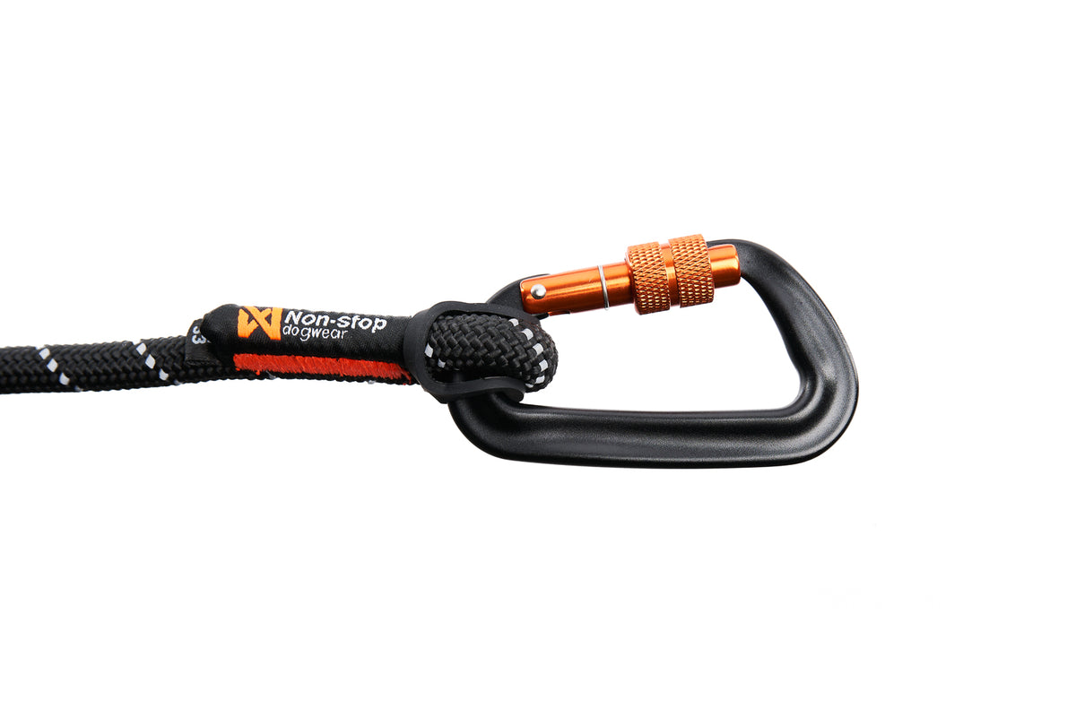 Rock leash