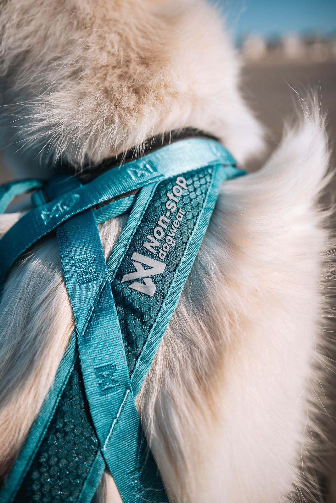 Short canicross harness | Rush harness – Non-stop dogwear