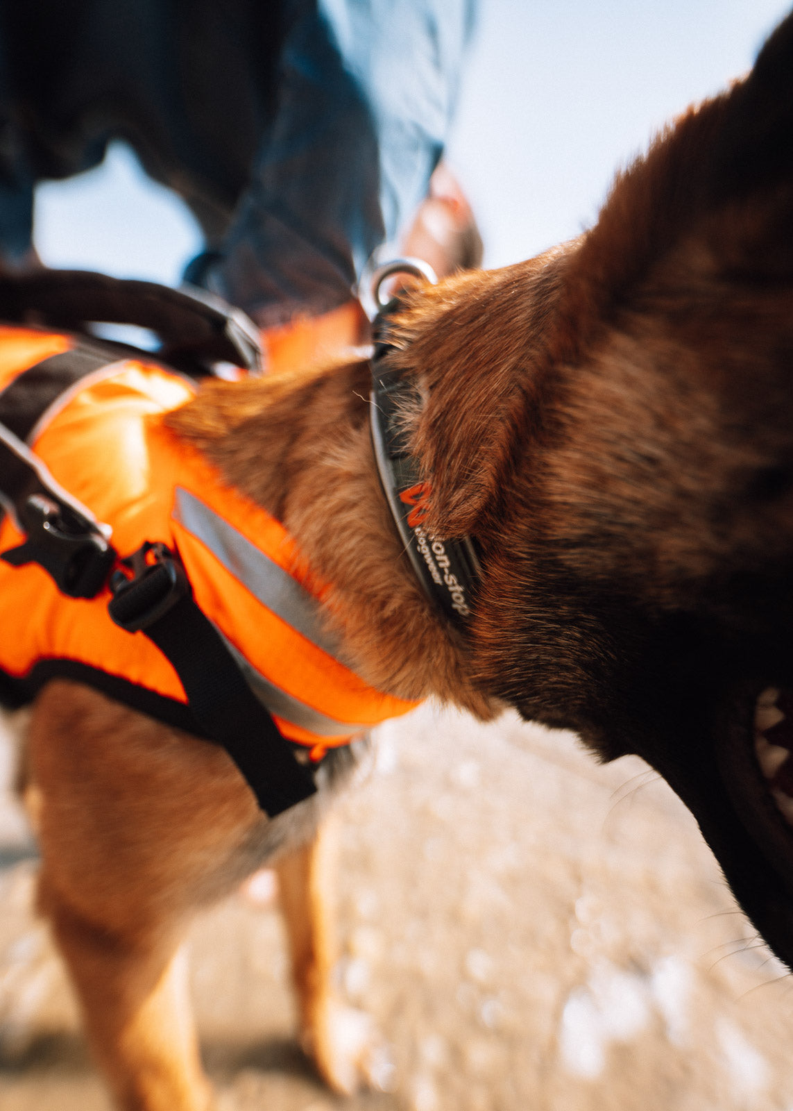 Safe life jacket 2.0