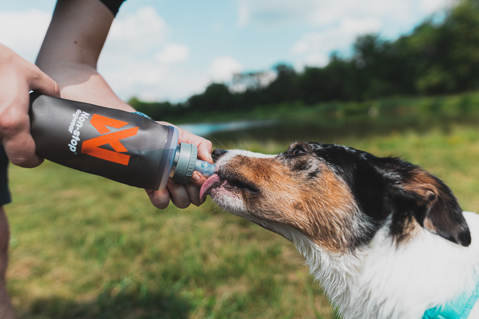 NS Softflask 500ml