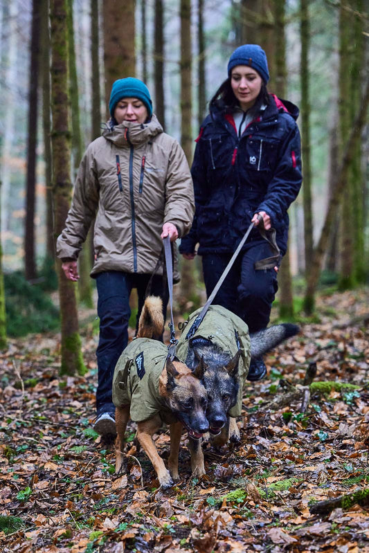 Solid leash WD (1)