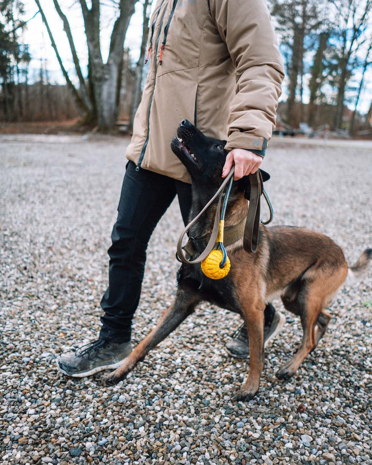 Solid leash WD (3)