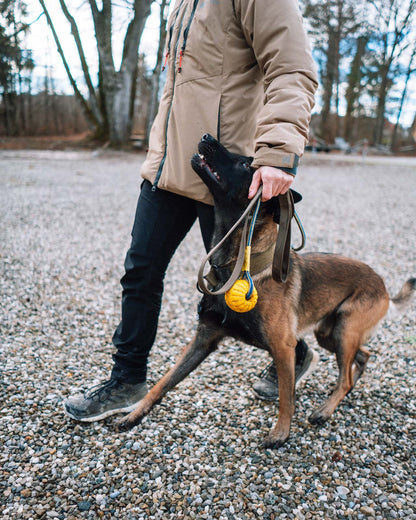 Solid leash WD (3)