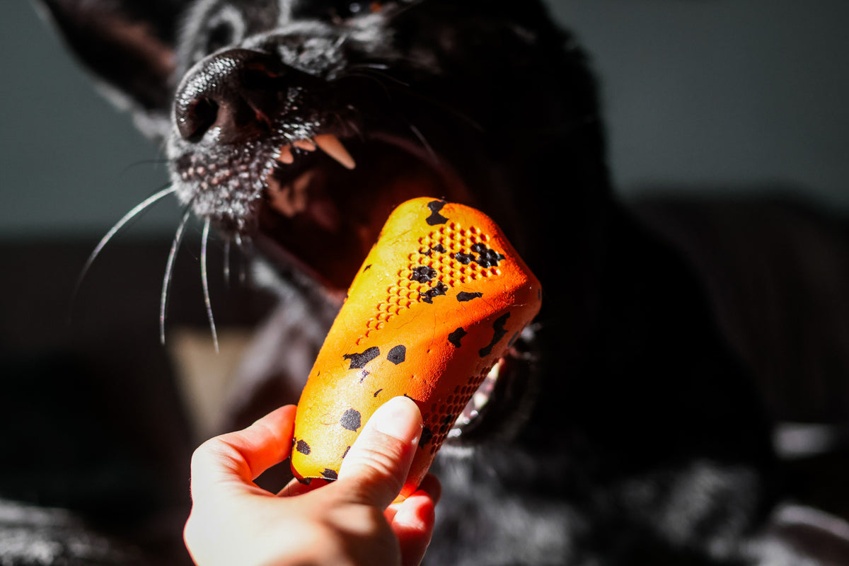 Dog throw toy