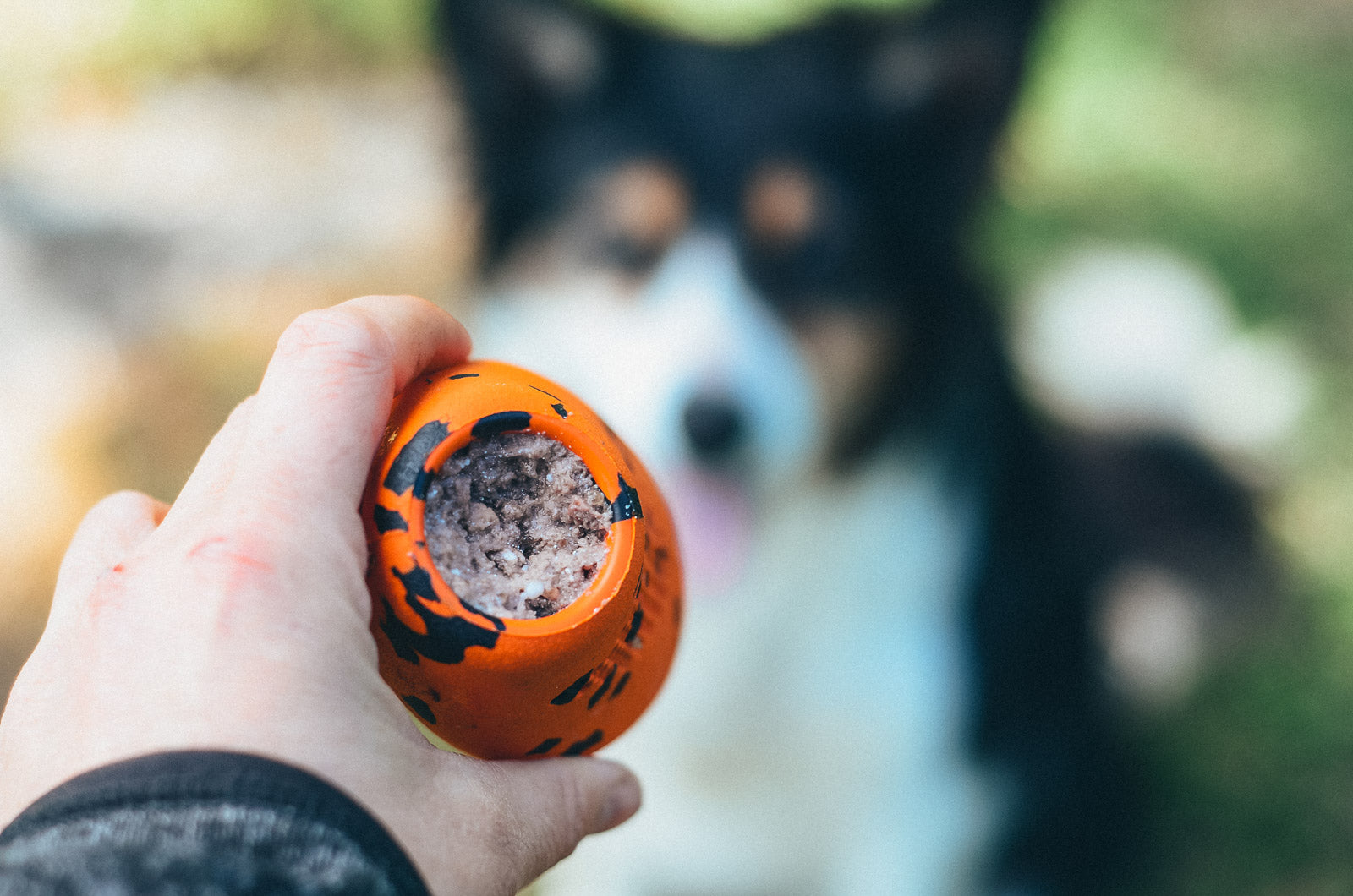 Dog throw toy
