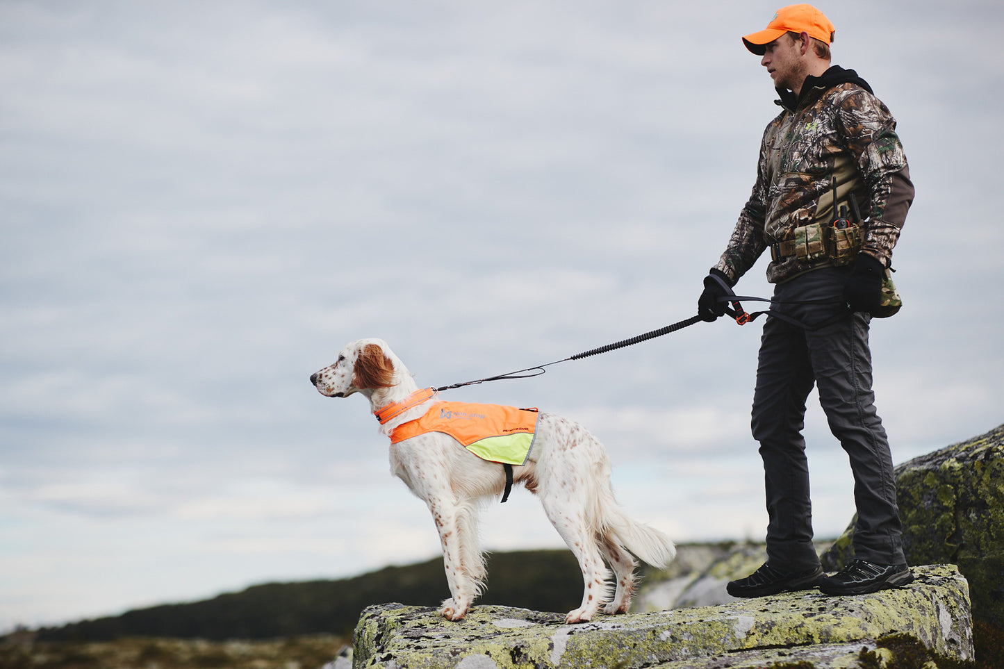 Touring bungee adjustable (3)