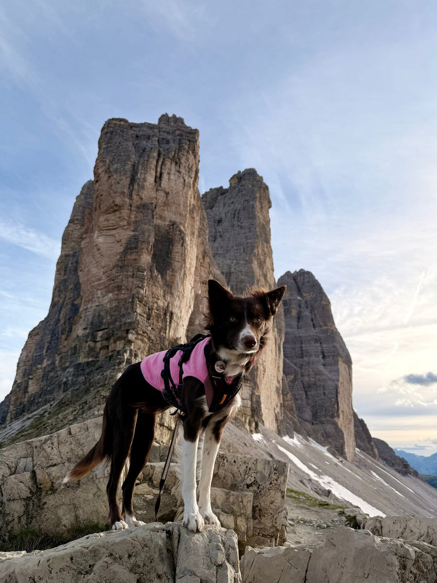 Rock harness (7)