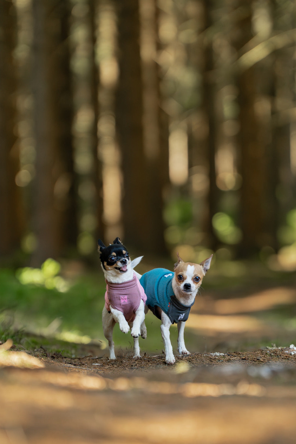 Trail quest fleece pullover (11)