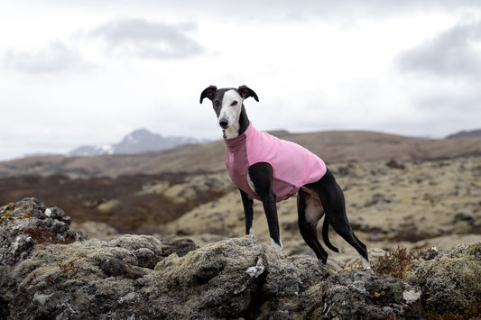 Trail quest fleece pullover (1)