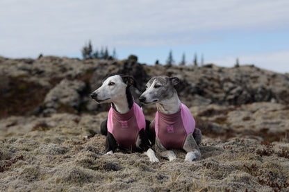Trail quest fleece pullover (12)