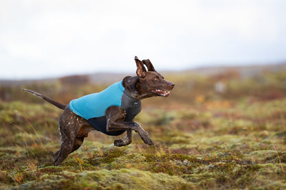 Trail quest fleece pullover (8)