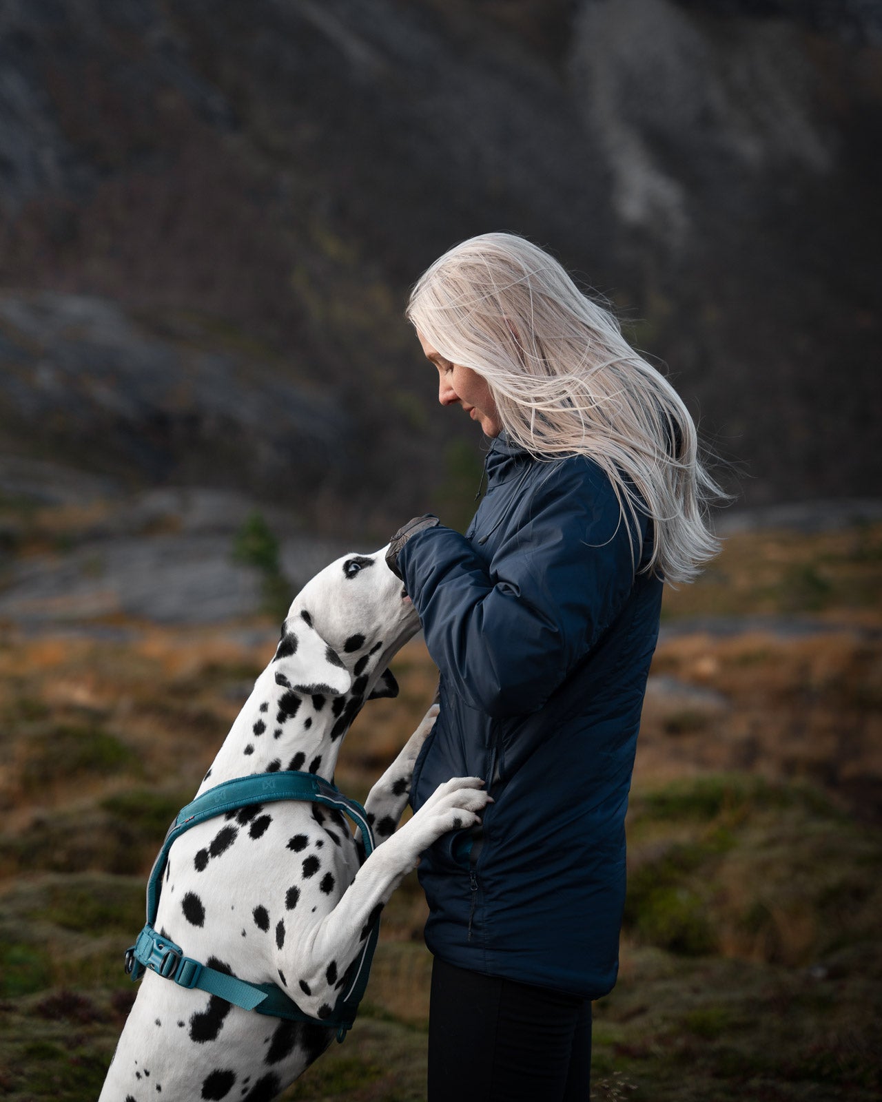 Trail isolator jacket 2.0 women's