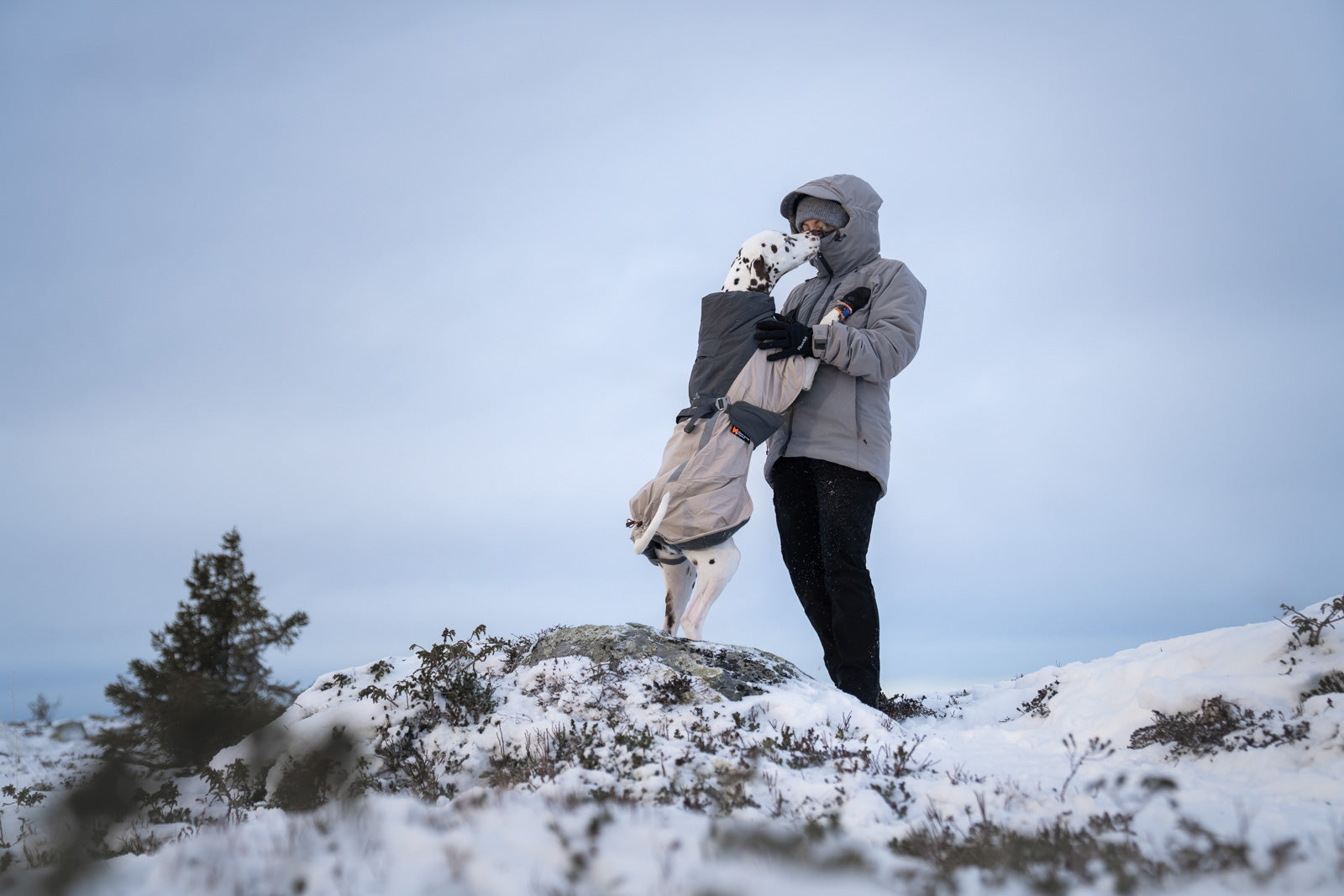 Warm dog sport jacket | Trail isolator+ jacket women's – Non-stop