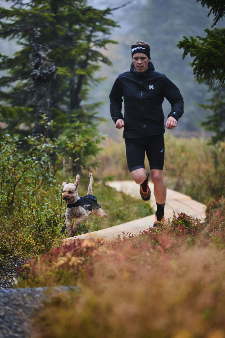 Trail light dog jacket (6)