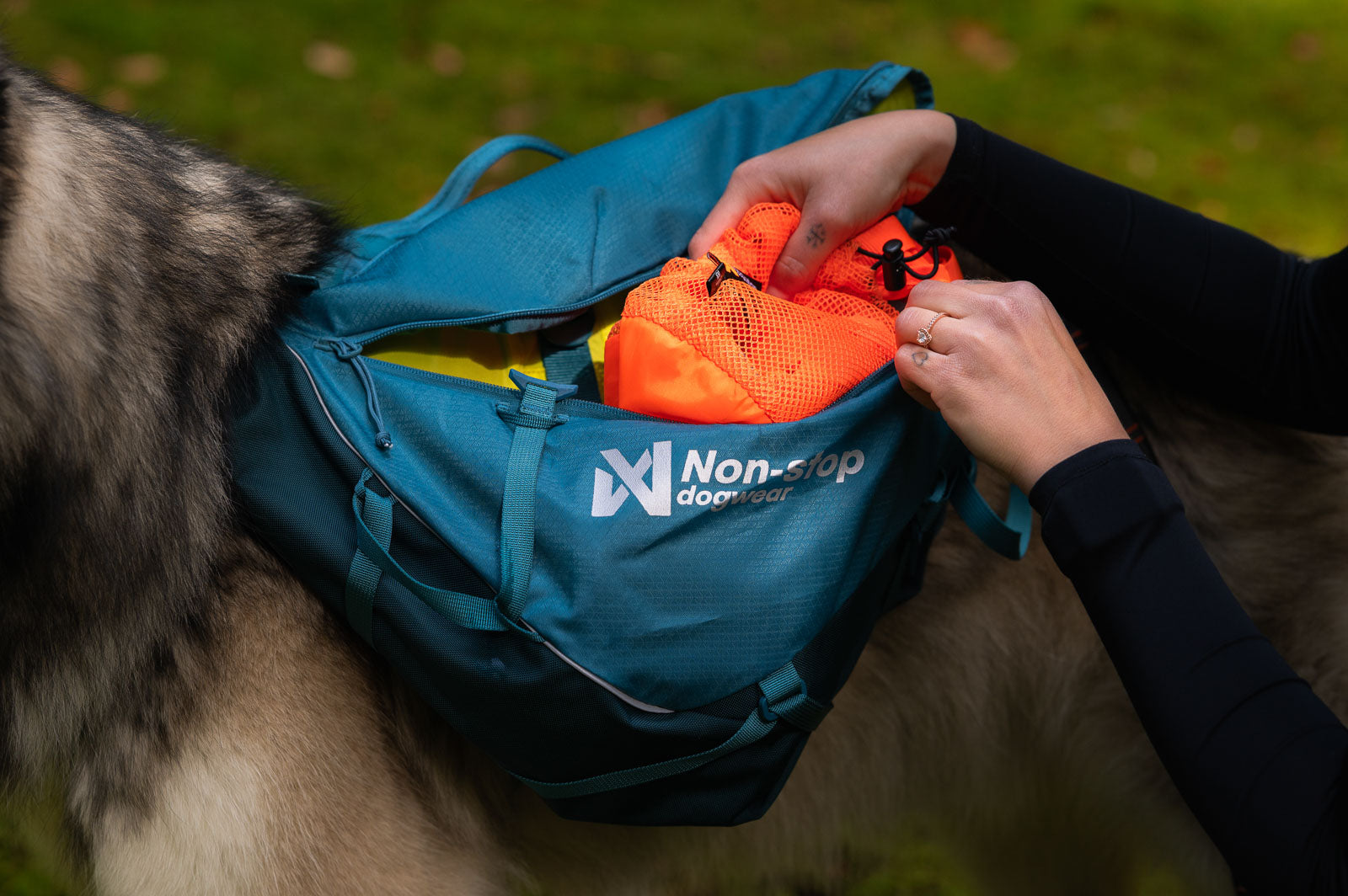 Trail quest dog backpack