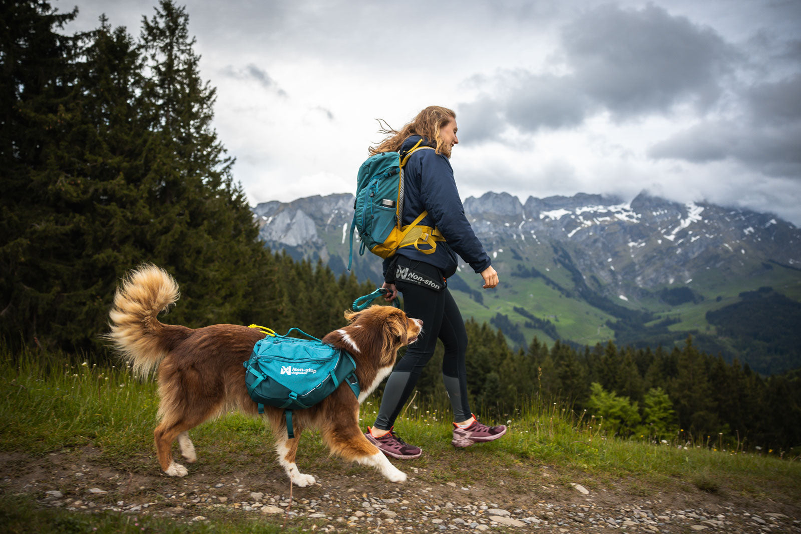 Trail quest dog backpack (1)