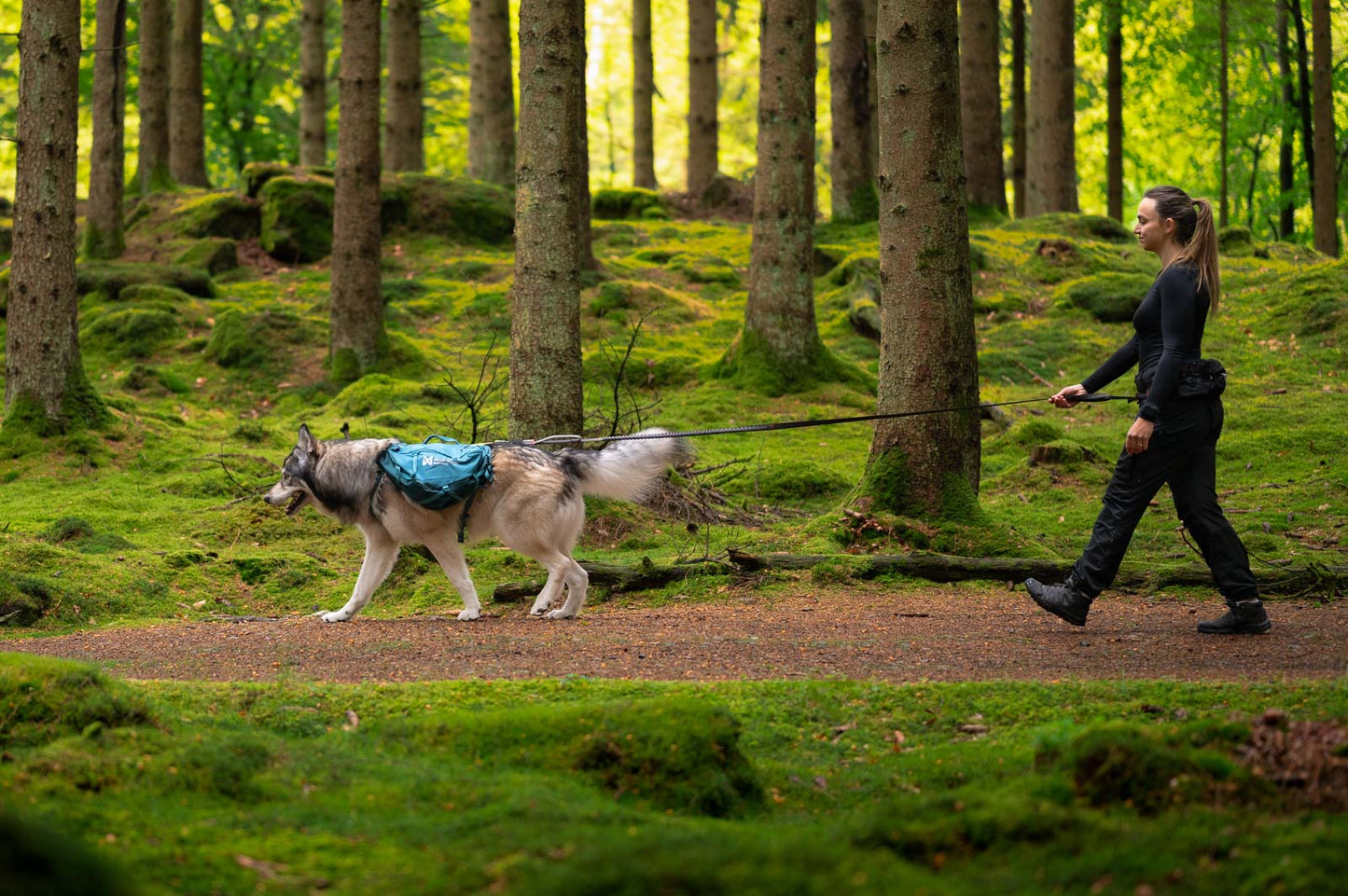 Trail quest dog backpack (2)