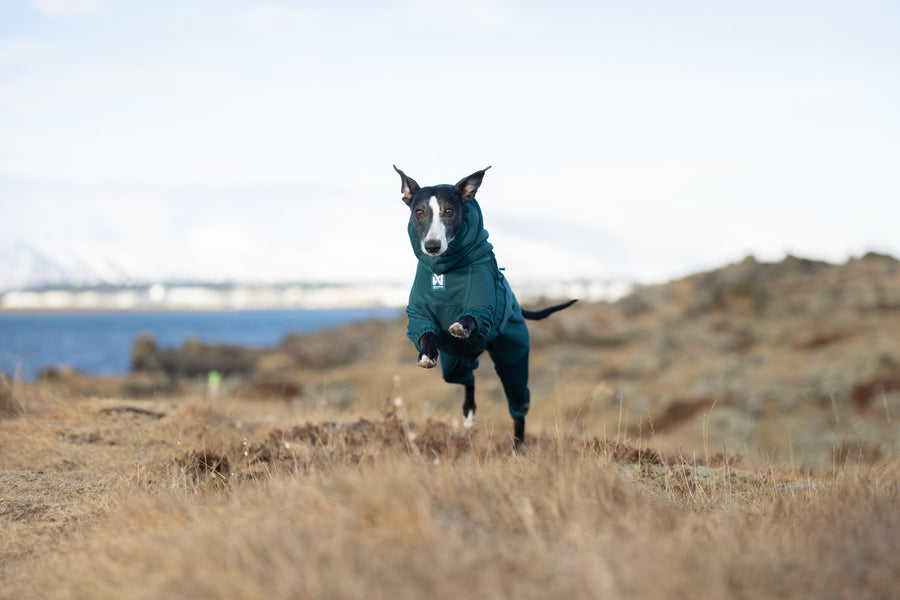 Trail quest fleece overall (6)