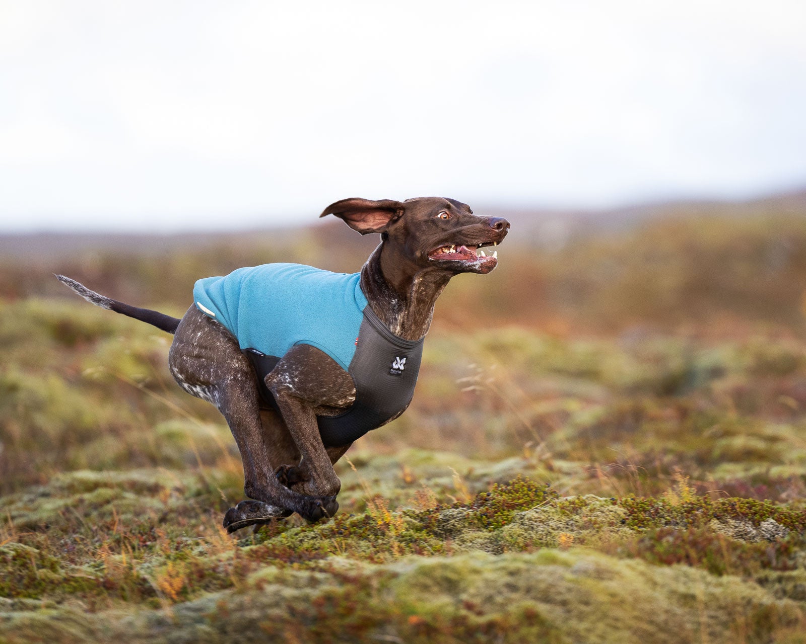 Trail quest fleece pullover