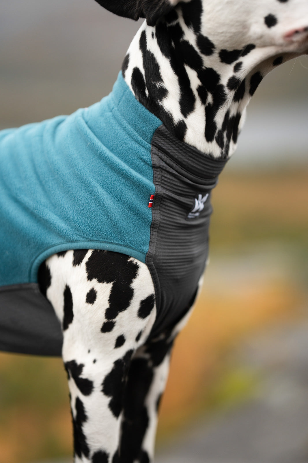 Fleece dog sweater