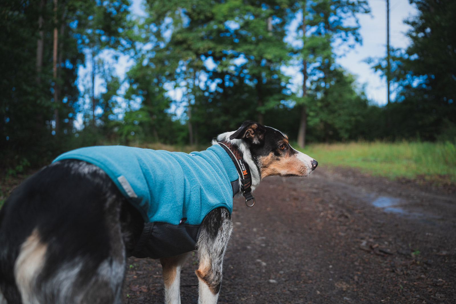 Trail quest fleece pullover