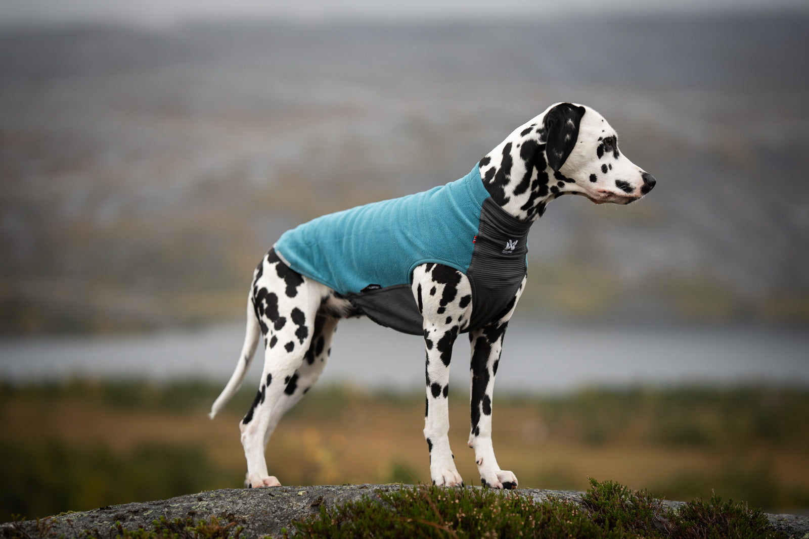 Trail quest fleece pullover (4)