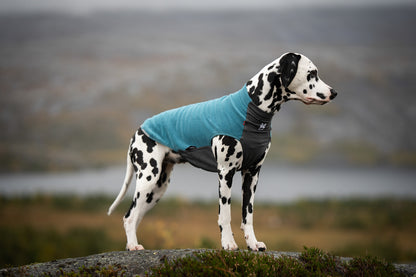 Trail quest fleece pullover (5)