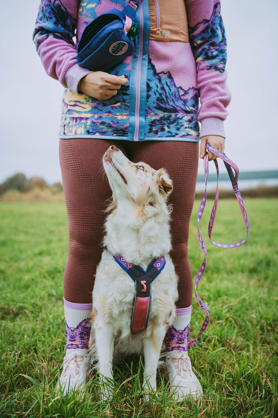 Trail quest leash Rachel Pohl edition (4)