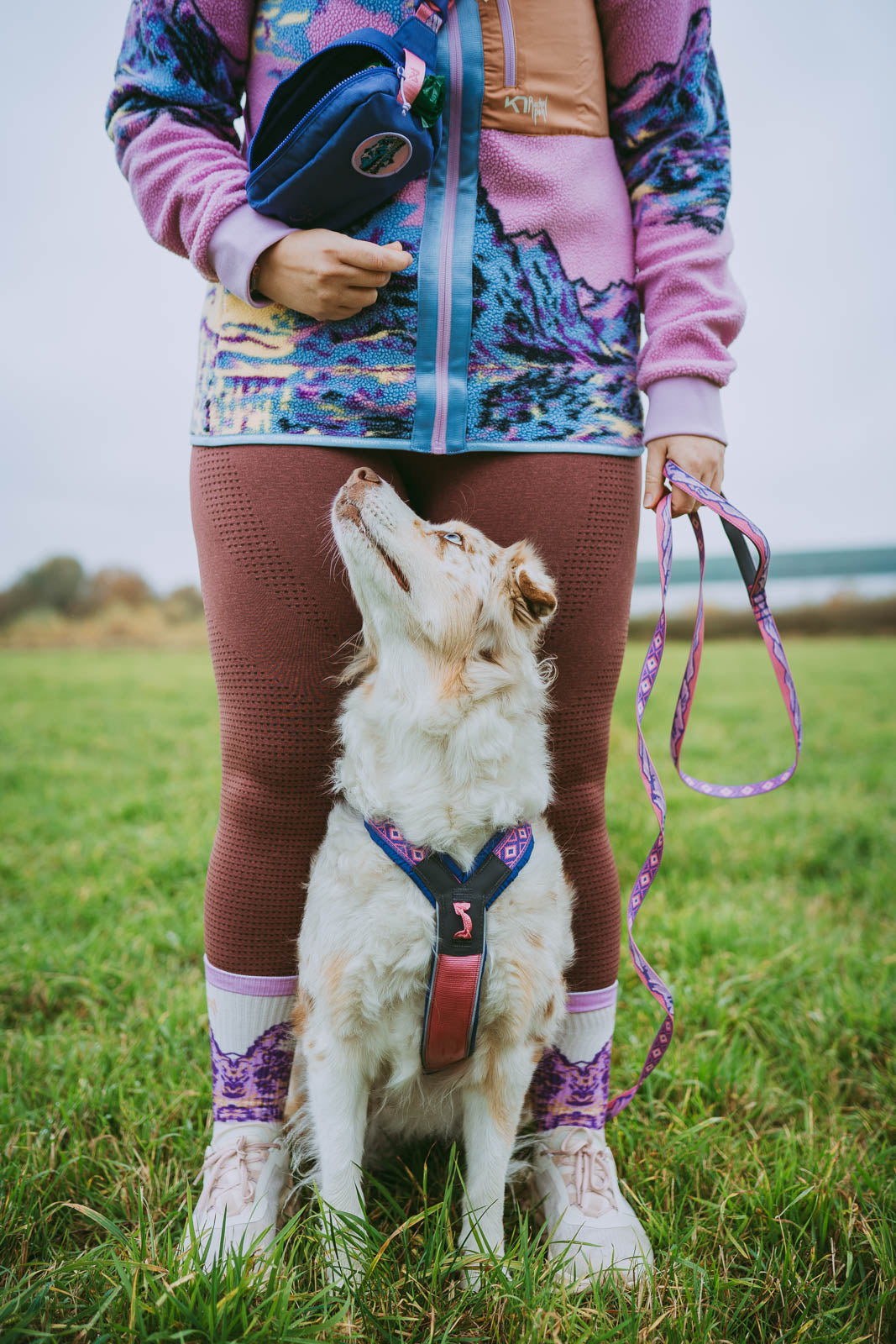Padded dog lead | Trail quest leash Rachel Pohl edition – Non-stop