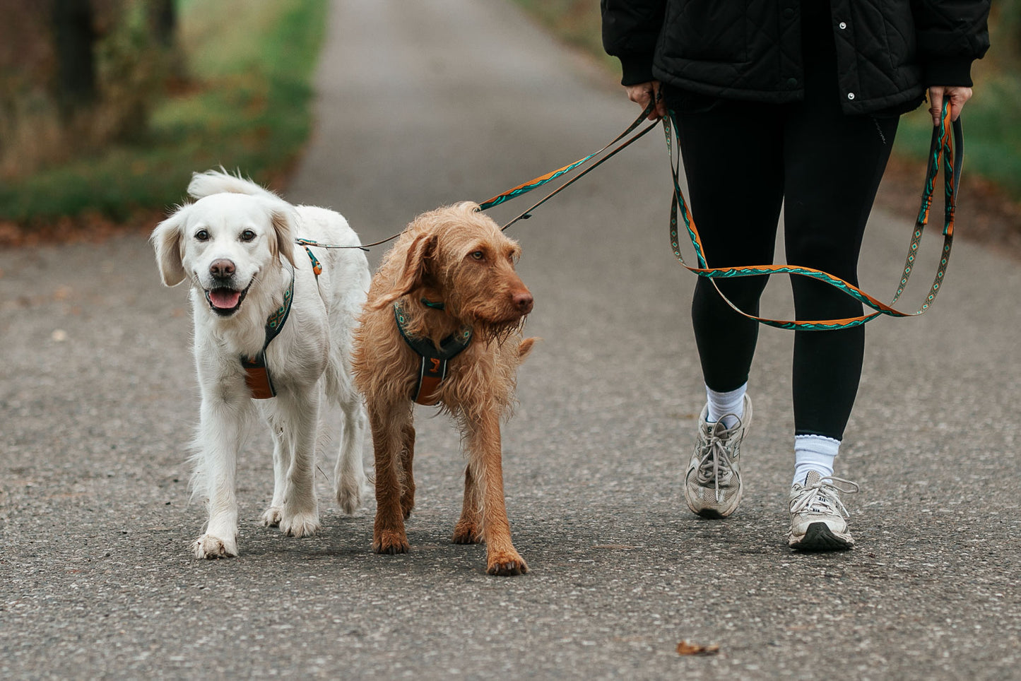 Trail quest leash Rachel Pohl edition (5)