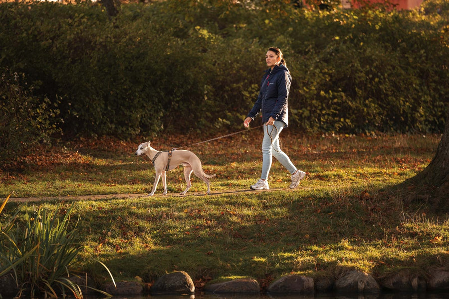 Trail quest leash Rachel Pohl edition (9)